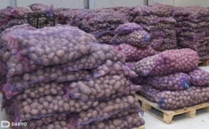 Pakistani potatoes packed in ventilated bags for export