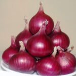 Improved High-Yielding Onion Variety - National Innovation Foundation pakistan