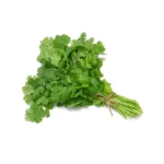 CORIANDER(DHANIYA)