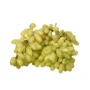 SUNDERKHANI GRAPES
