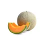 MELON