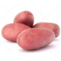 NATURAL™ Lady Rosetta Potato