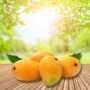 Fresh Mangoes