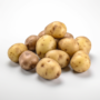 Natural™ Sante Potato
