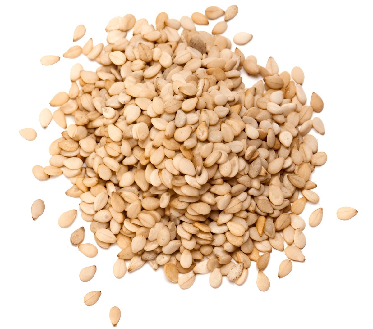 Sesame