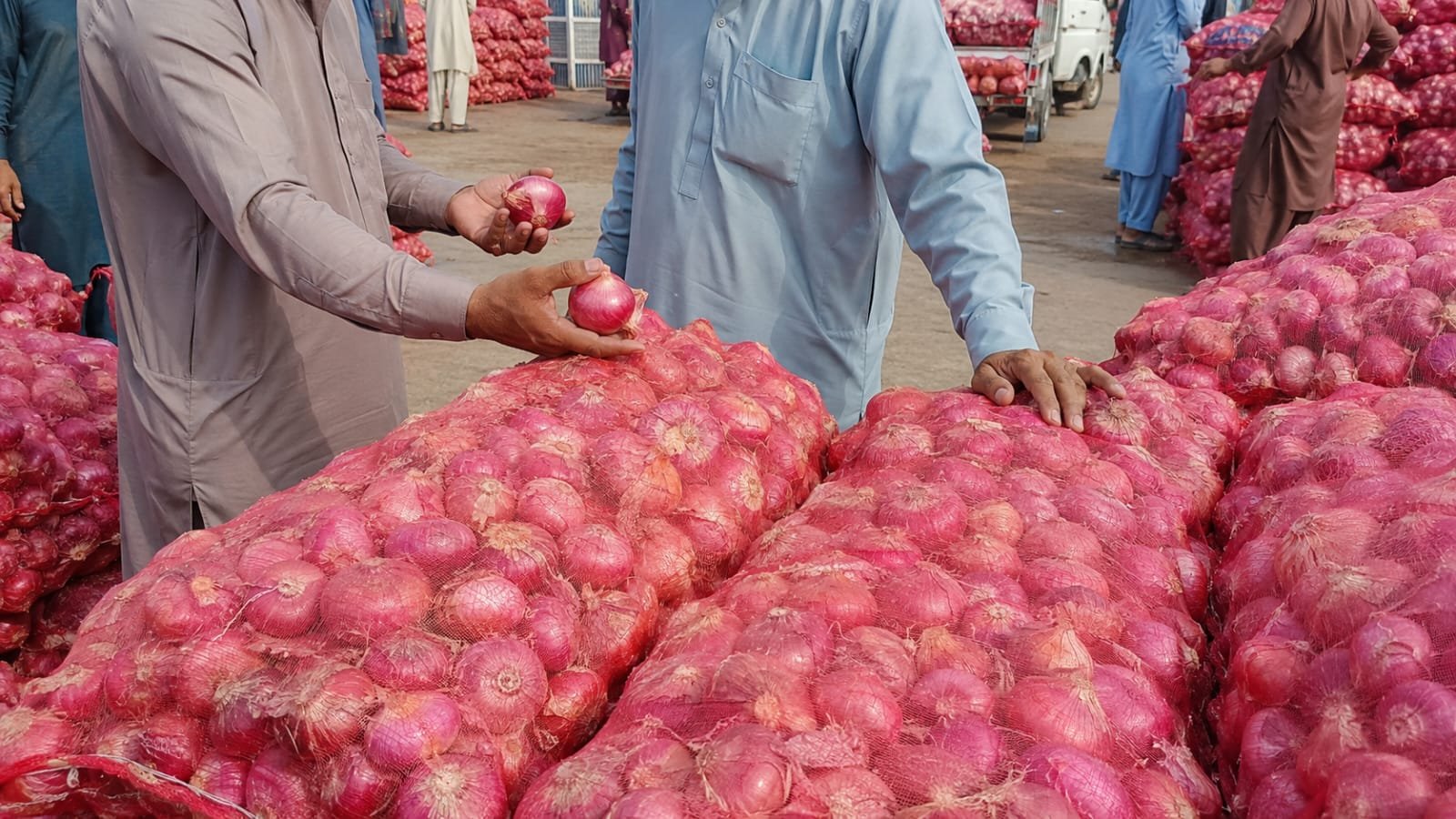 Fresh red onions at a wholesale market in Pakistan